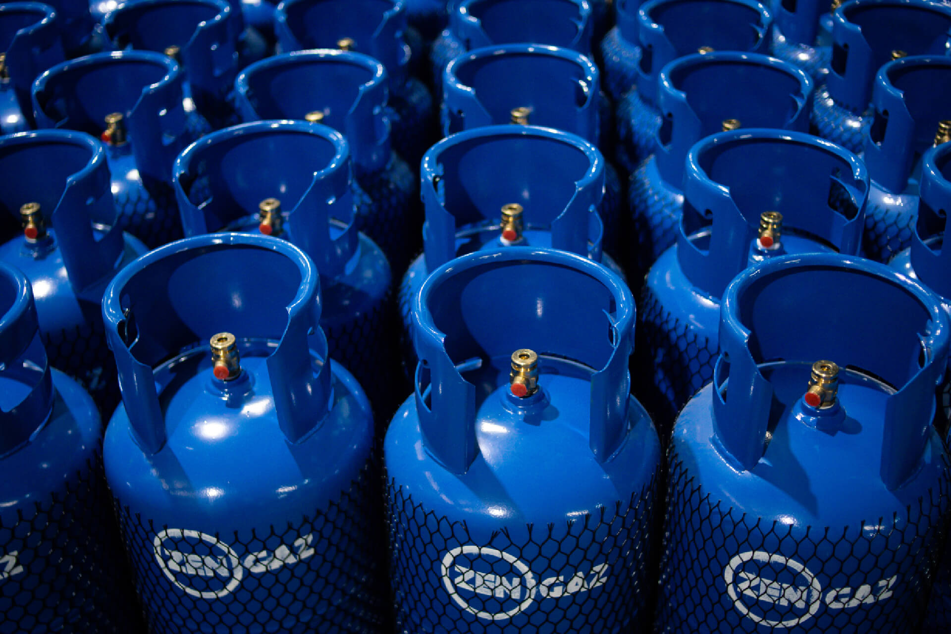 A large quantity of blue gas cylinders arranged in rows, each with a black valve and a wire mesh protective covering. The cylinders are labeled "Zen Gaz."